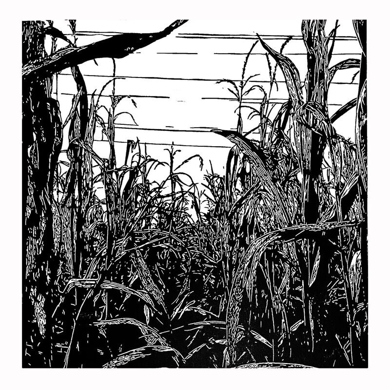 Maisfeld, Linoldruck 50x50 cm
