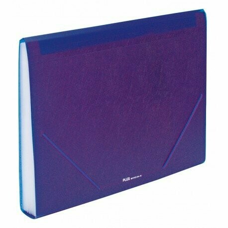 CARPETA CLASIFICADORA PLUS PP 12 DEP. GOMA OPACA VIOLETA