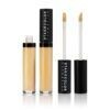 Perfect Teint Fluid Concealer