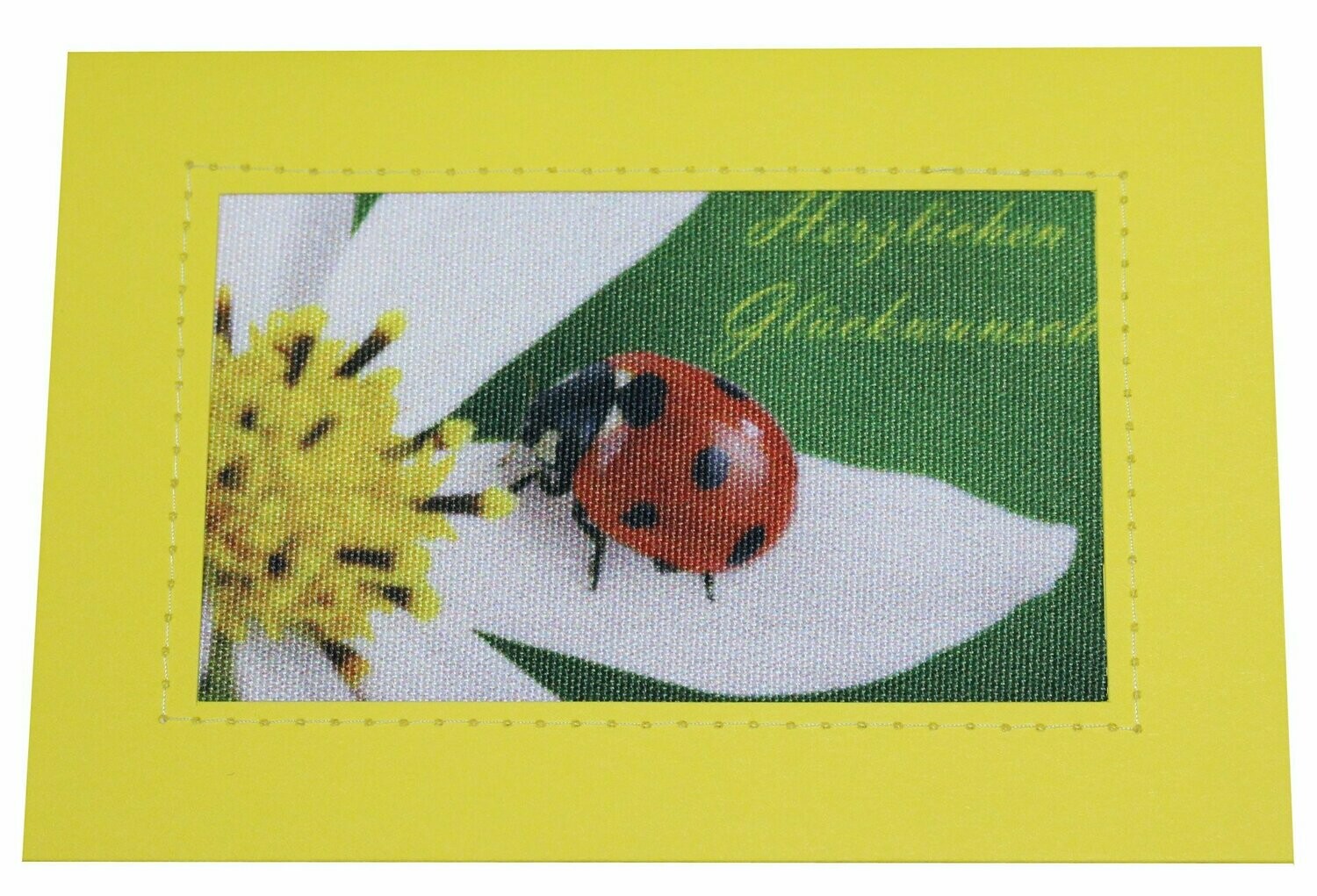 Grußkarte incl. Umschlag: Glückwünsche/ Marienkäfer