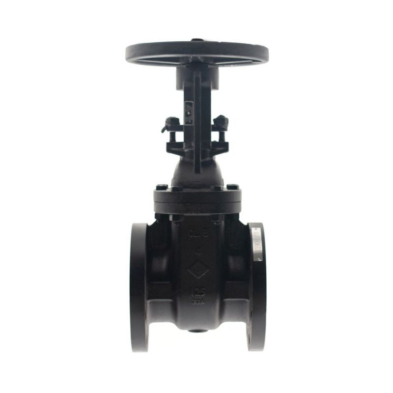 2 1/2" CRANE® 465-1/2 Gate Valve, Flanged End Style, 125 lb, Cast Iron Body, Handwheel Actuator