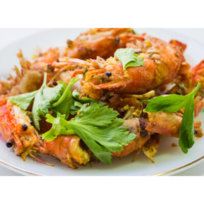 SCAMPI  GERECHTEN ONGEPELD