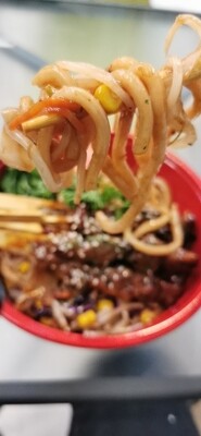JAPANSE UDON NOODLES BOWL