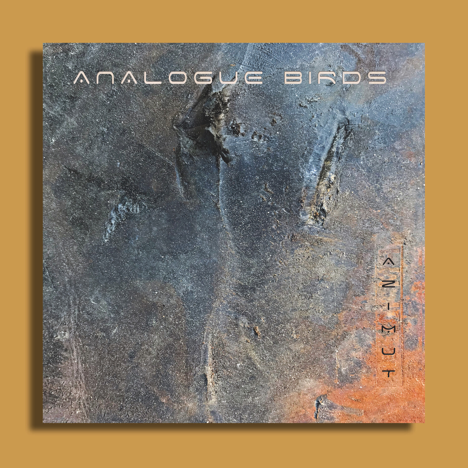 CD Analogue Birds 