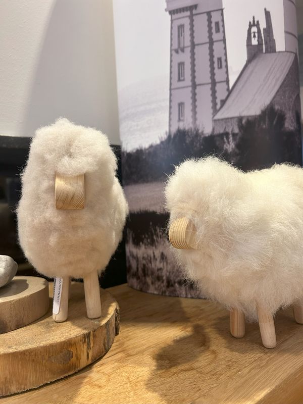 MOUTON PETIT MODELE
