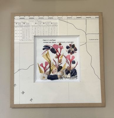 TABLEAU &quot;ARCHIPEL DES GLENAN&quot; N°209