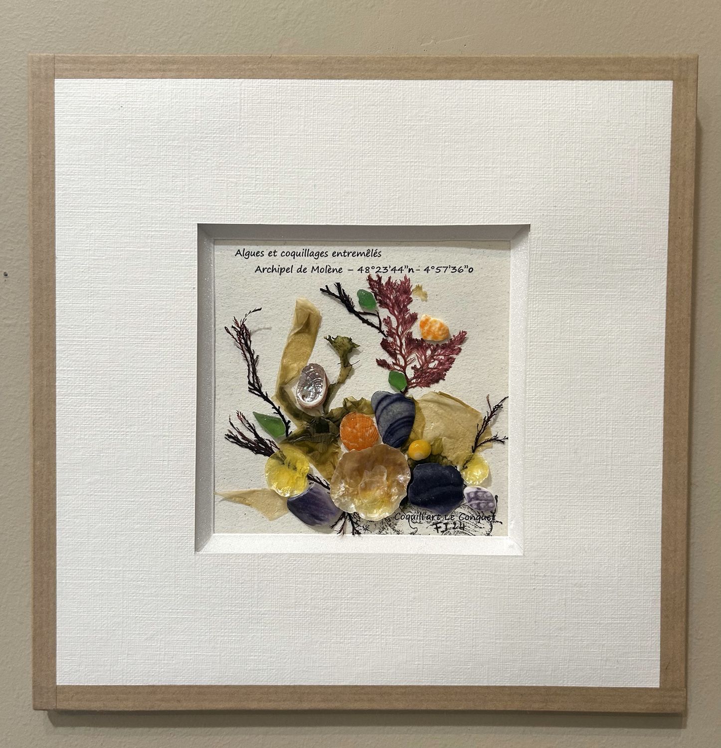 TABLEAU &quot;ARCHIPEL DE MOLENE&quot; N°311