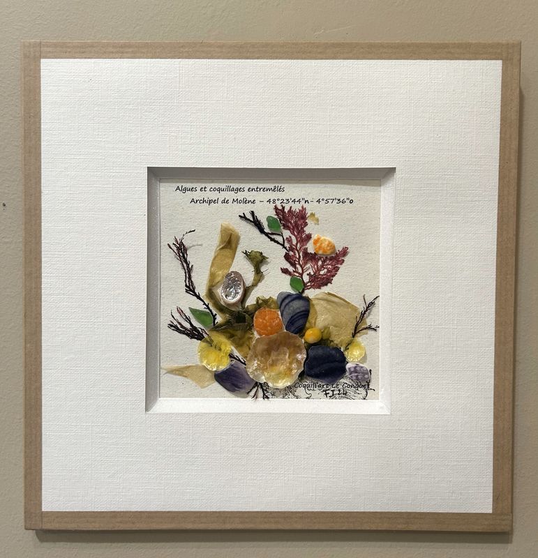 TABLEAU &quot;ARCHIPEL DE MOLENE&quot; N°311