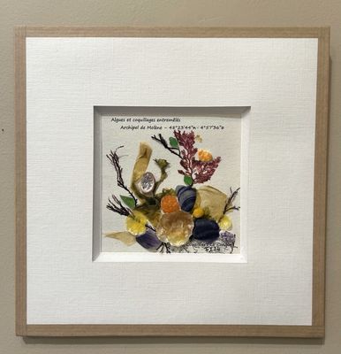 TABLEAU &quot;ARCHIPEL DE MOLENE&quot; N°311