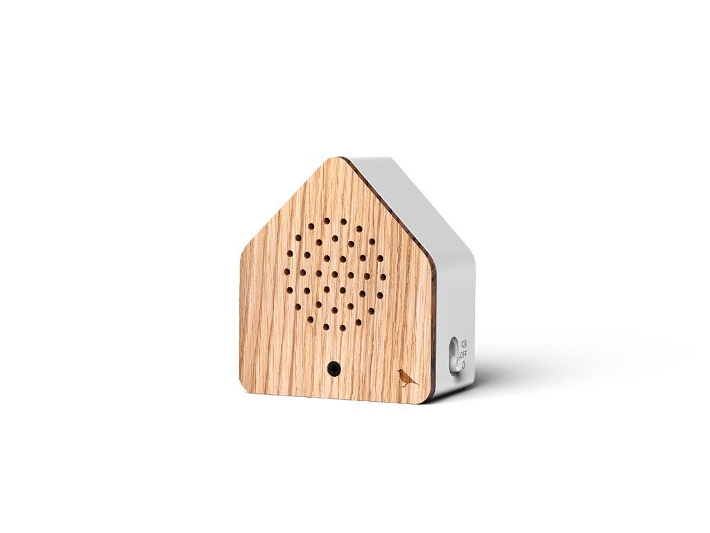 SATELLITEBOX THRUSH WOOD