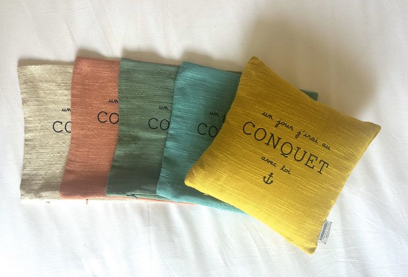 COUSSIN SALOME 25X25 &quot;UN JOUR J&#39;IRAI AU CONQUET AVEC TOI&quot;