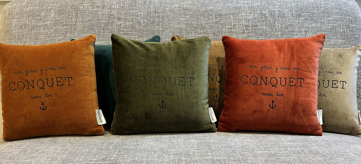 COUSSIN VELOURS 25X25 &quot;UN JOUR J&#39;IRAI AU CONQUET AVEC TOI&quot;