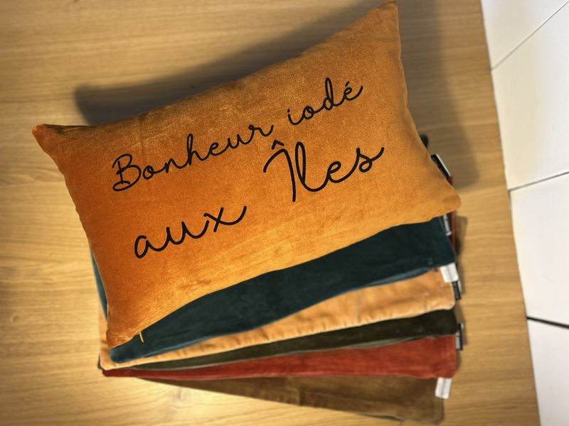 COUSSIN VELOURS 30X50 &quot;BONHEUR IODÉ AUX ÎLES&quot;