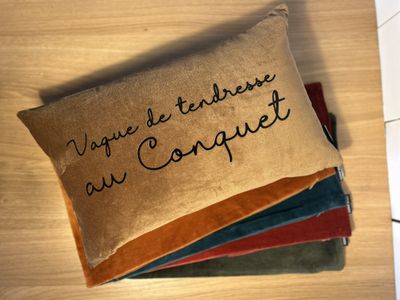 COUSSIN VELOURS 30X50 "VAGUE DE TENDRESSE AU CONQUET" COUSSIN VELOURS 30X50 "VAGUE DE TENDRESSE AU CONQUET"