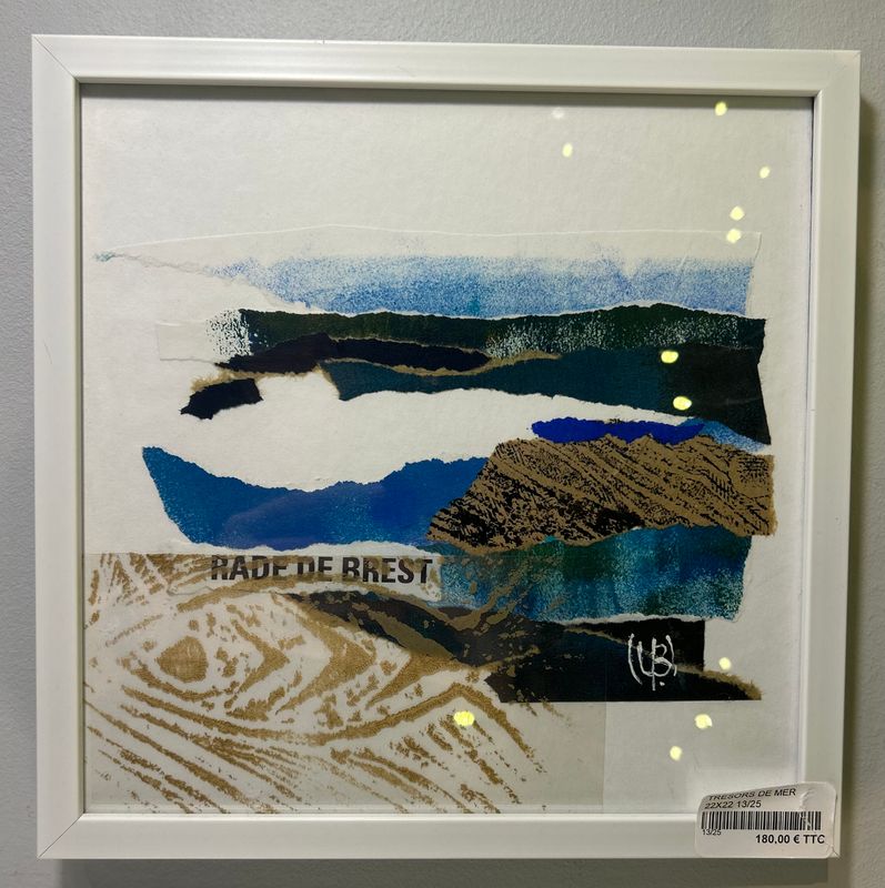 CADRE "RADE DE BREST" - TRÉSOR DE MER 22X22