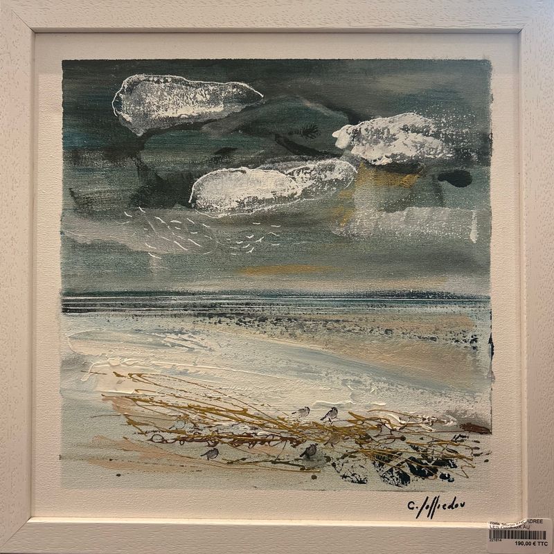 "LES OISEAUX AU CONQUET ENCADRÉ" 30X30 - 221814