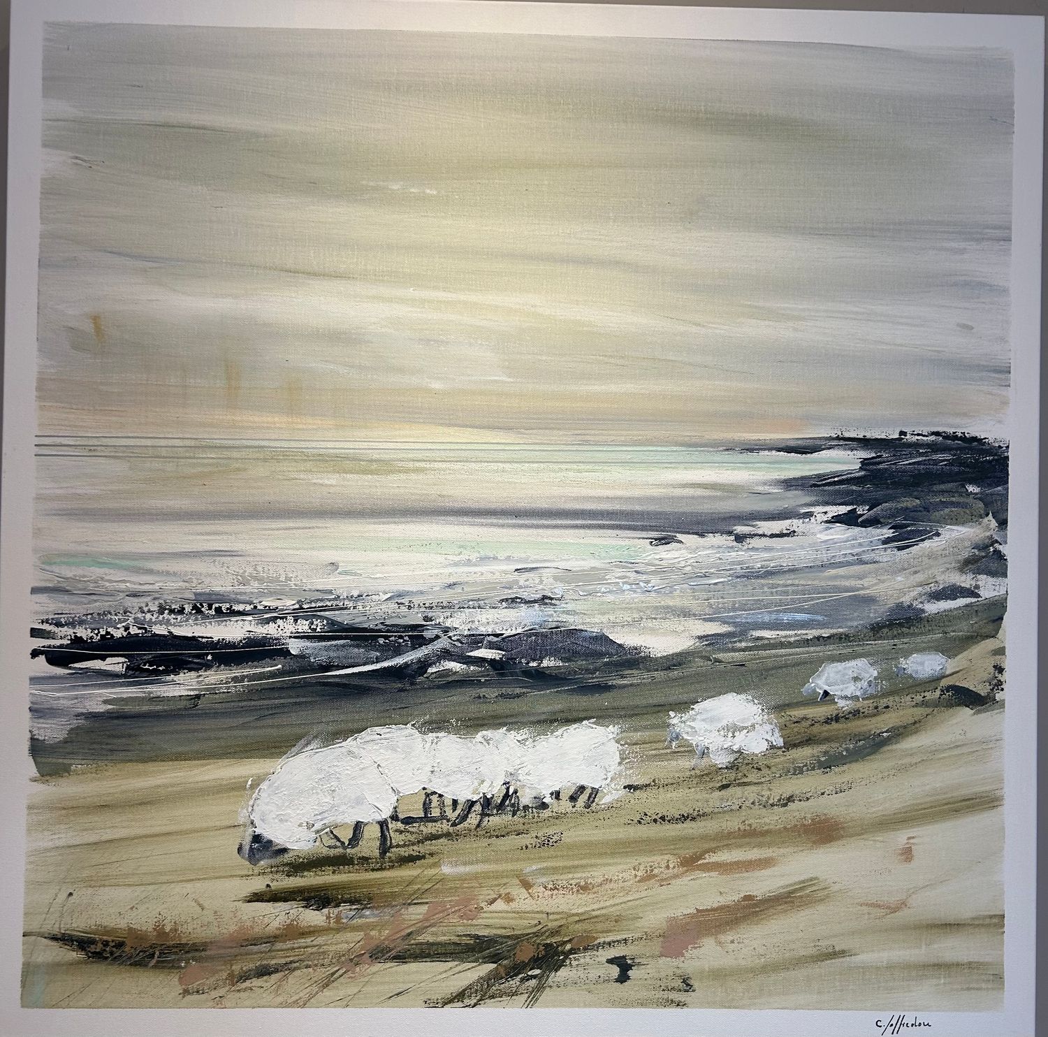 "MOUTONS DE OUESSANT DANS LE VENT" 80X80 - 412318