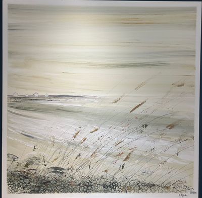 "OUESSANT" 100X100 - 129968