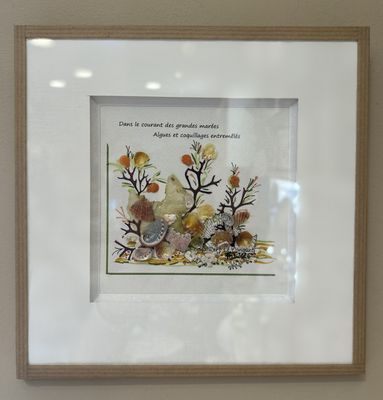 TABLEAU "ALGUES ET COQUILLAGES" N°509