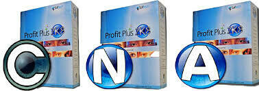 Consultoria de Sistemas Profit Plus