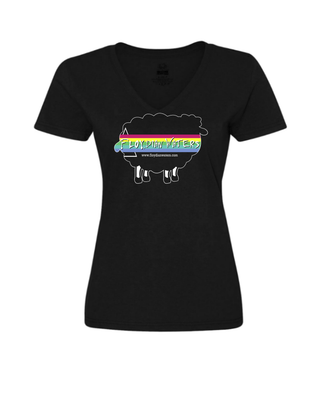 Floydian Waters - Ladies V Neck T-Shirt