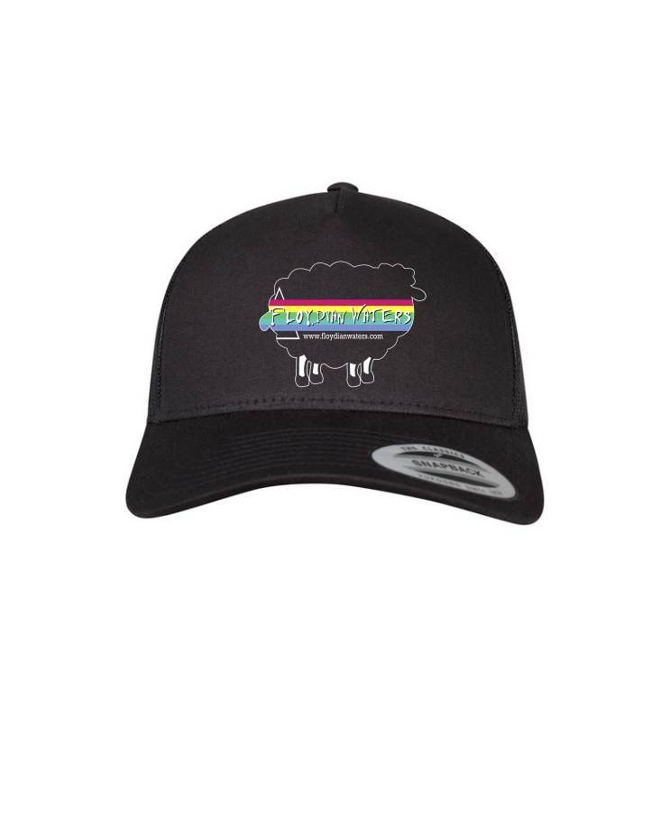 Floydian Waters - Snapback Hat