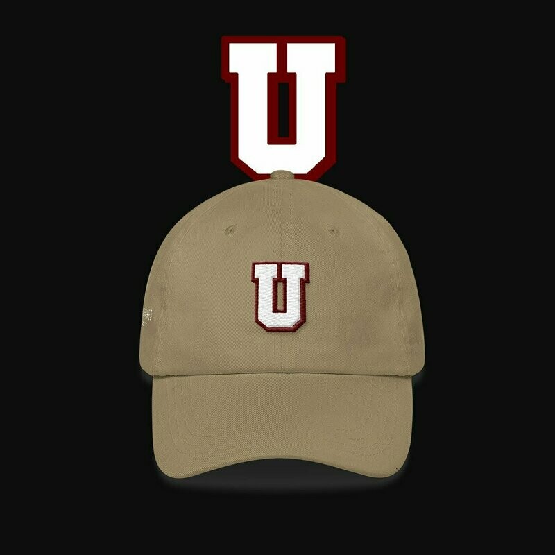 Classic Varsity Hat