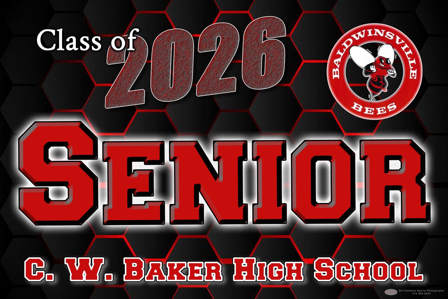 Baldwinsville Senior Lawn Sign