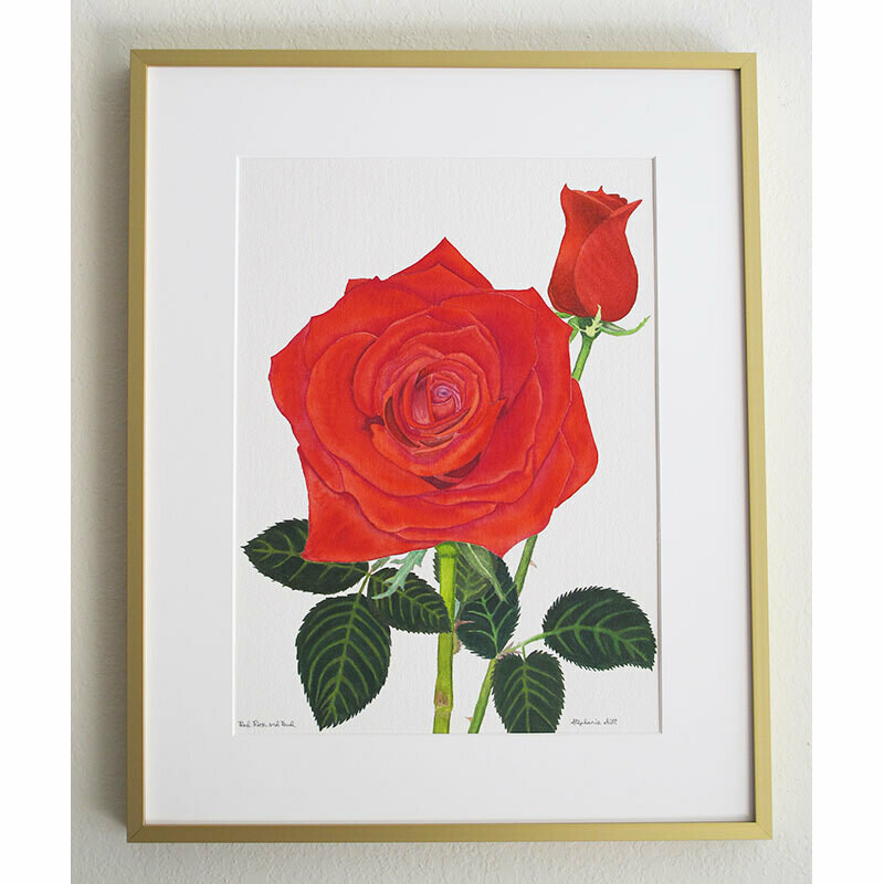 Red Rose and Bud – Double Matted “Hand-Signed Print” by Stephanie Scott