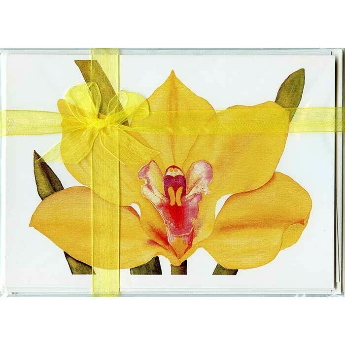 Cymbidium Orchid – Floral Notecard 4 Card Gift Pack by Stephanie Scott