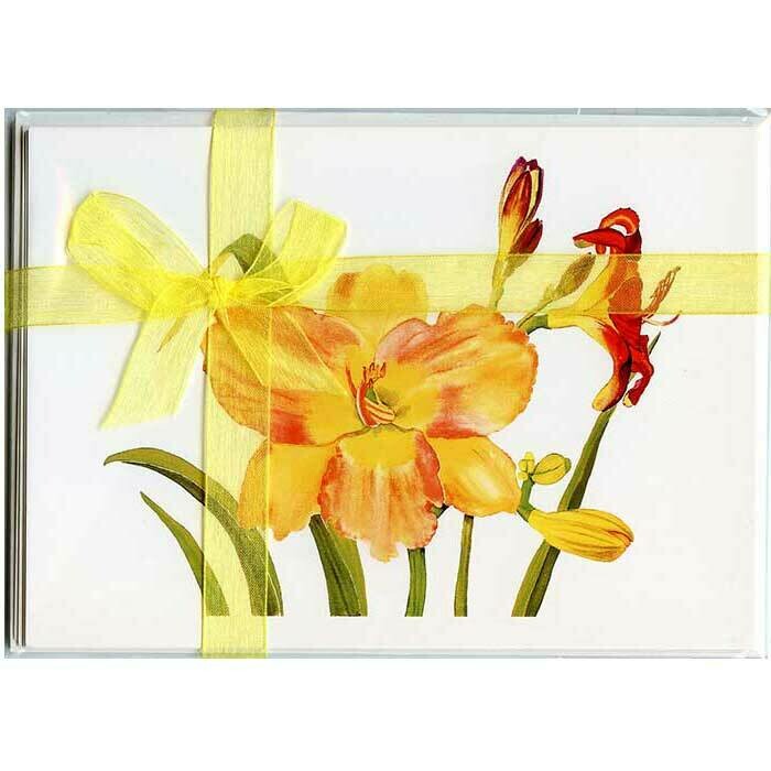 Daylilies – Floral Notecard 4 Card Gift Pack by Stephanie Scott