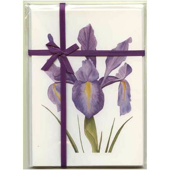 Dutch Iris – Floral Notecard 4 Card Gift Pack by Stephanie Scott