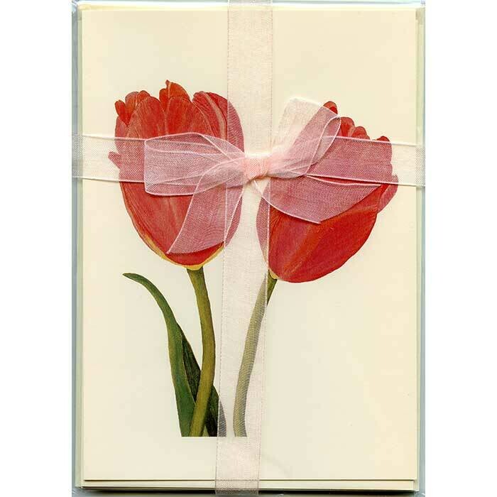 Tulips – Floral Notecard 4 Card Gift Pack by Stephanie Scott