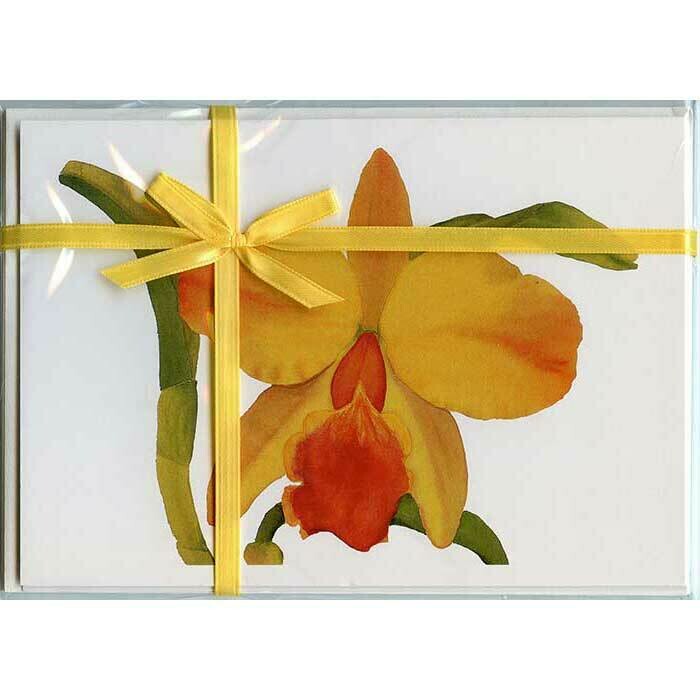 Cattleya Hazel Boyd – Floral Notecard 4 Card Gift Pack by Stephanie Scott