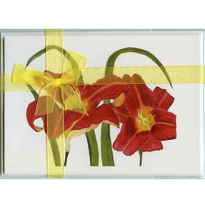 Red Daylilies – Floral Notecard 4 Card Gift Pack by Stephanie Scott