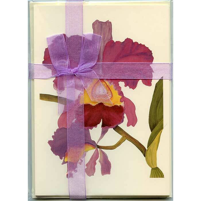Cattleya Orchid – Floral Notecard 4 Card Gift Pack by Stephanie Scott