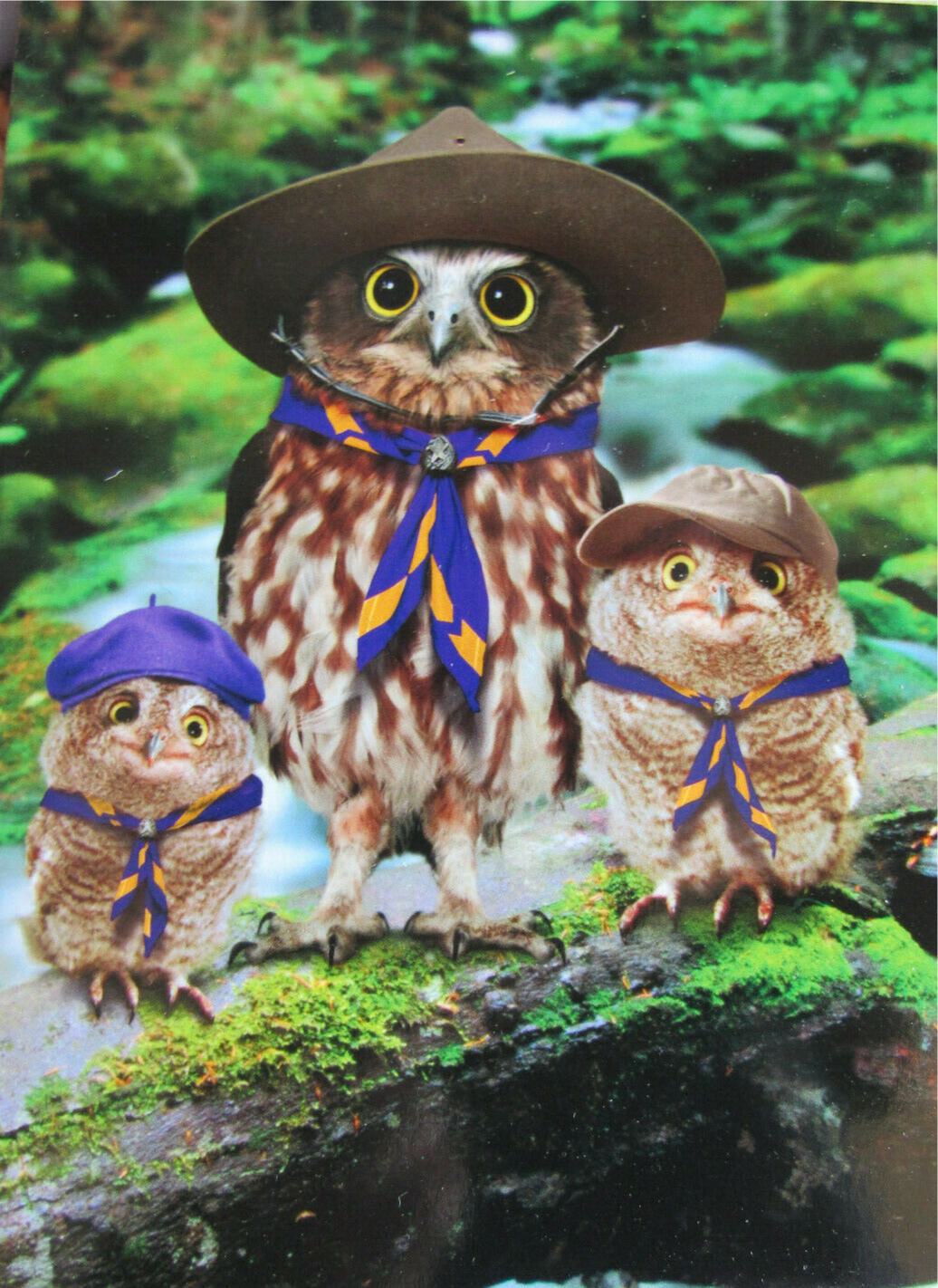 Owl Father&#39;s Day Card