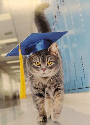 "Look Out World!" Graduation Card
