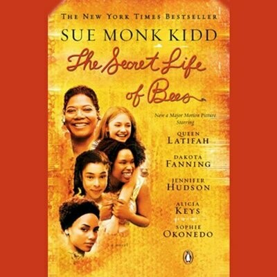 The Secret Life of Bees by Sue Monk Kidd (Paperback) USED