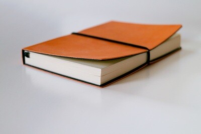 Journals