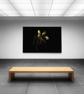 Art Gallery