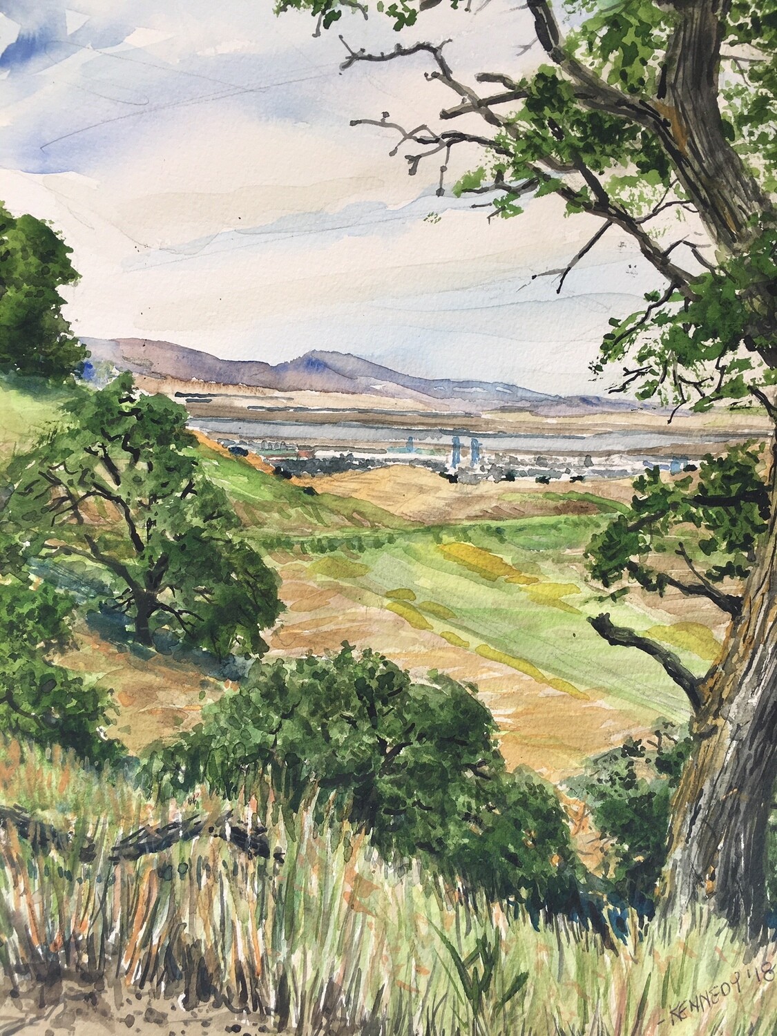 &quot;Ridge Trail near Stewartsville Tr. Black Diamond Mines EBRPD&quot; by Daniel Kennedy