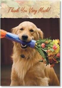 Blank Note Card Set 8 of 1 design: Thank You Very Much!