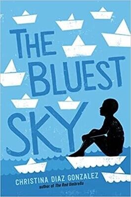 The Bluest Sky (Hardcover) – by Christina Diaz Gonzalez