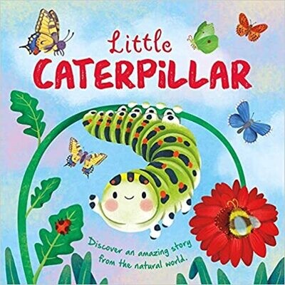 Nature Stories: Little Caterpillar: Discover Amazing Story from the Natural World! Padded Board Book – by Gisela Bohórquez