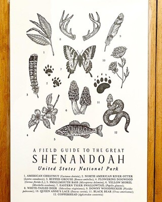 Field Guide To The Great Shenandoah Print