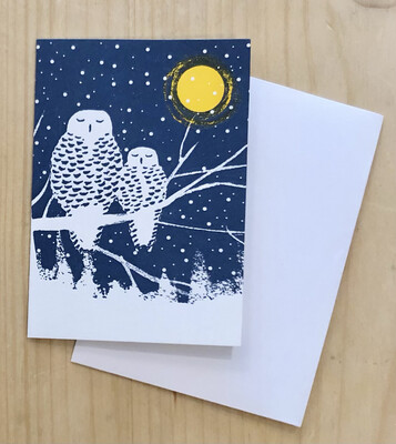 Sleeping Owl Holiday Card Set