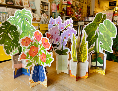 Paper Plants (You've Got Options!)