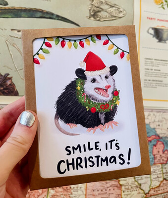 Smile it's Christmas Card Set