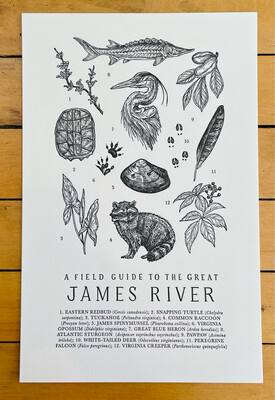 Field Guide to the James River Print